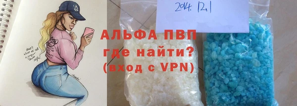 дживик Козельск
