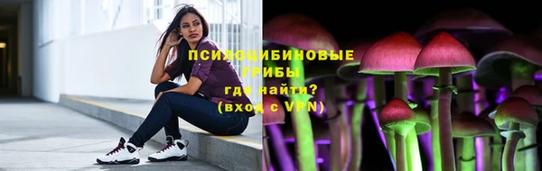 дживик Козельск