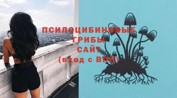 дживик Козельск